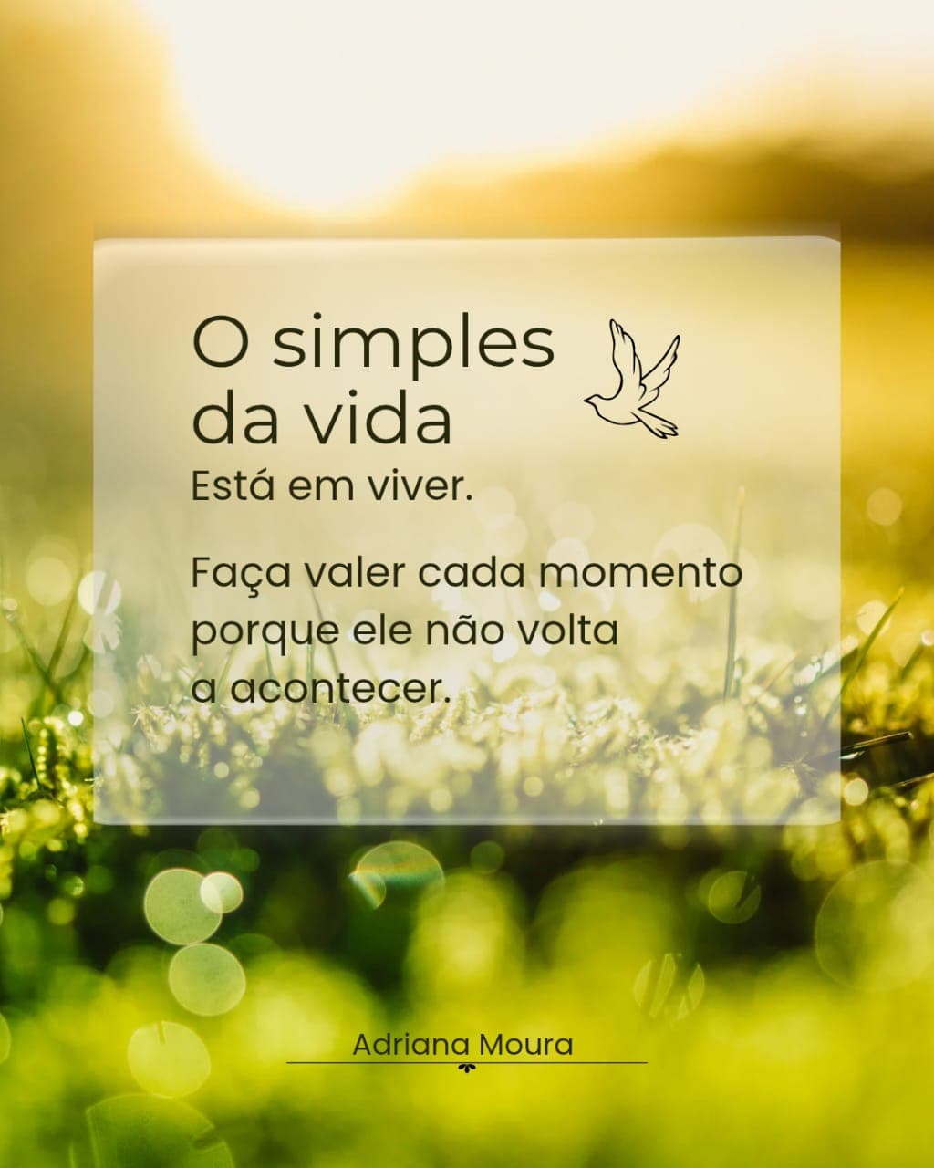 Post de inspiração criado para a marca pessoal de Adriana Moura
